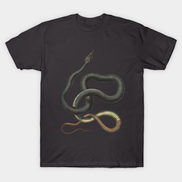 snake T-Shirt by PopGraphics